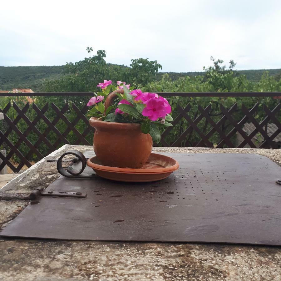 Luminaria Solis Vacation Home Rogoznica  Exterior foto
